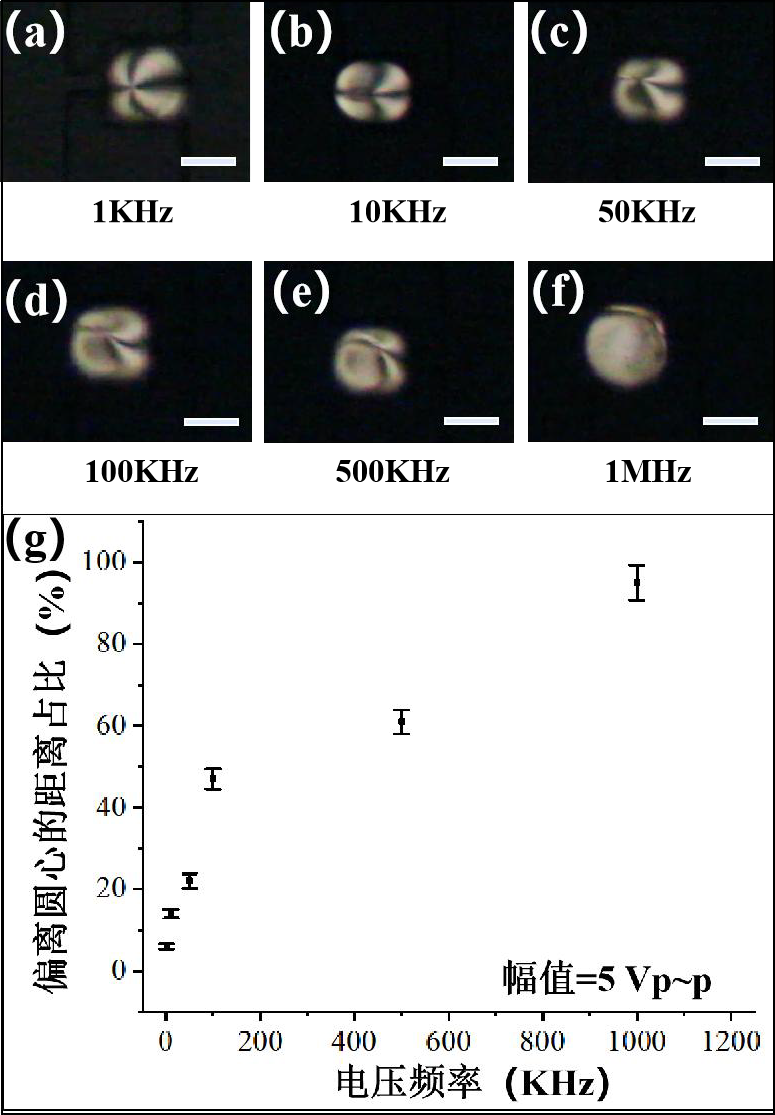 不同頻率下，液晶液滴的變化情況