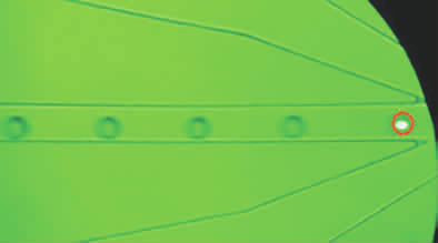 ATA-2161功率放大器應(yīng)用