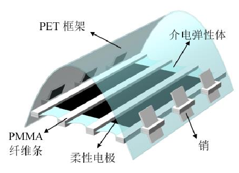 高壓放大器應用介電彈性驅(qū)動器模型.png