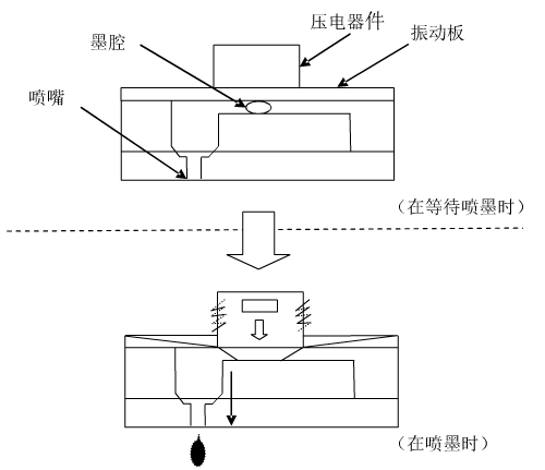 電壓放大器
