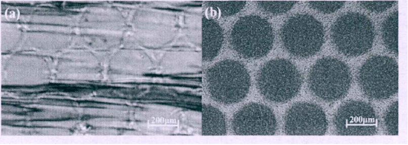 功率放大器 應用反式PDLC薄膜開關態POM圖（a）關態（b）開態.png